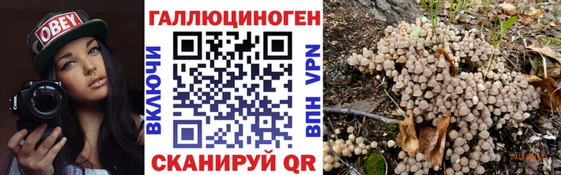 Галлюциногенные грибы GOLDEN TEACHER  Купить  Прокопьевск 